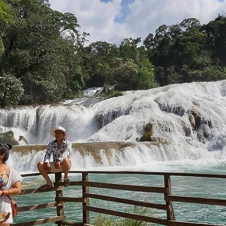 Posada Tzeltal Arroyo Agua Azul Екстериор снимка