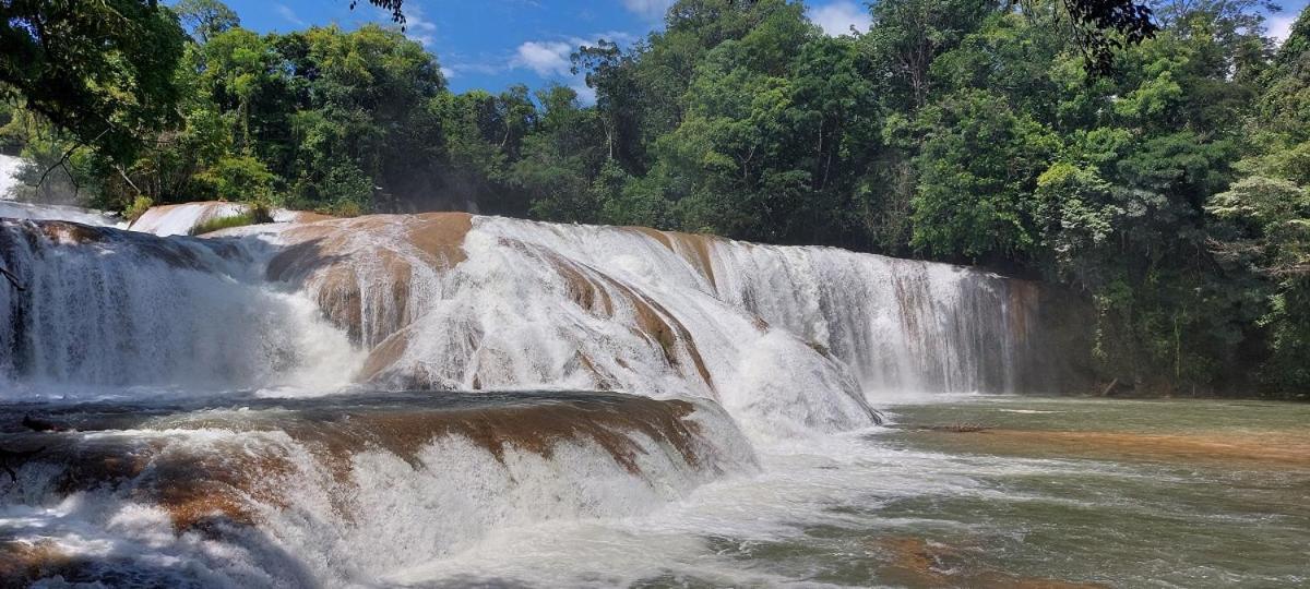 Posada Tzeltal Arroyo Agua Azul Екстериор снимка